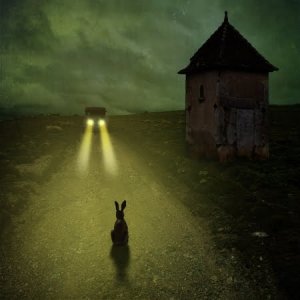 Comme les lapins pris dans les phares d’une voiture, les êtres humains peuvent se retrouver sidérés par la peur. Mais cette réaction n’est pas efficace pour échapper à un agresseur… ou à une voiture.